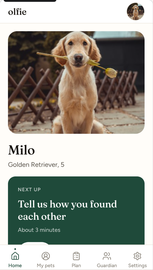 The Olfie app home screen: her photo, her name and the next part of her plan to write