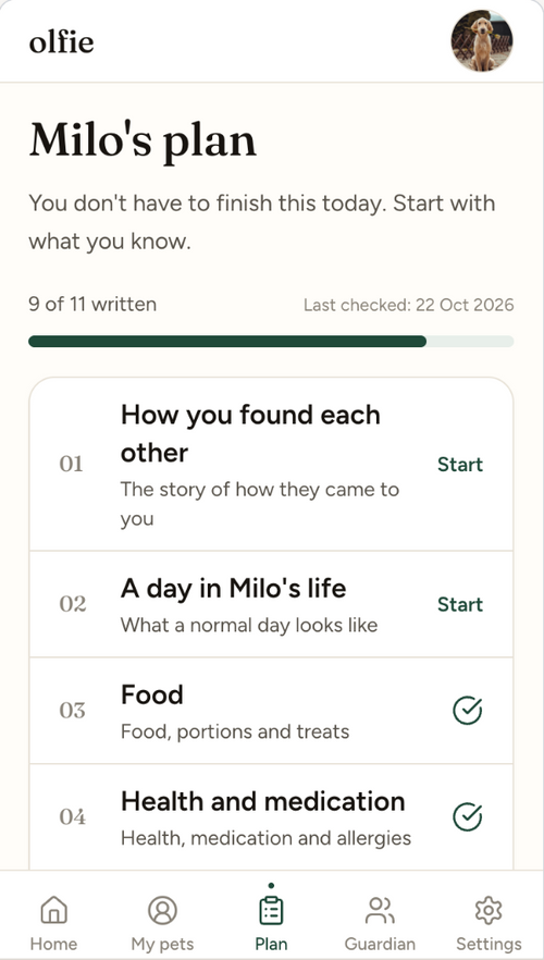 The Olfie app plan screen: her care plan in numbered sections